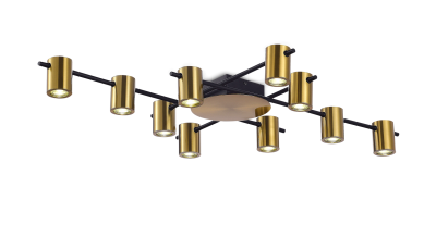 ������ C1000-DWS-10 BLACK+BRASS  ����� �����