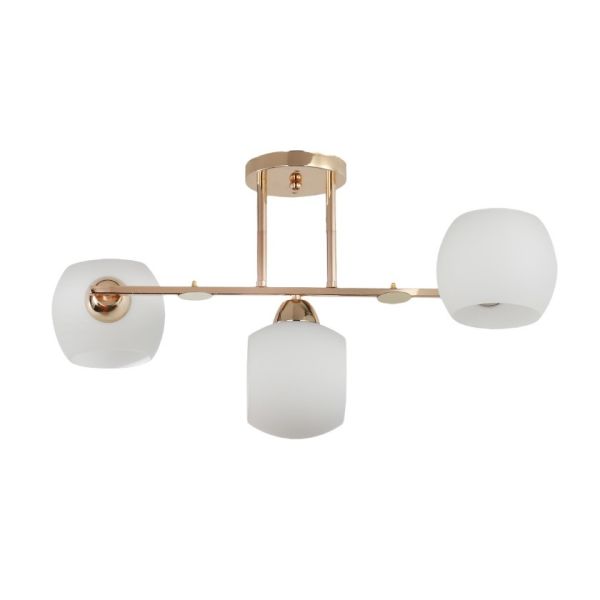 ������ 12202/3FGD WT ������ ���� 