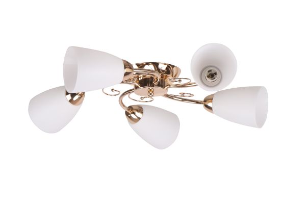 ������ 50815/5 FGD+WT ������ ����� �����