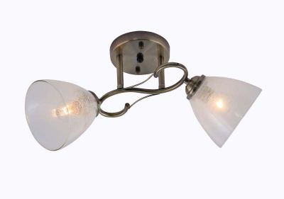 ������ 06795/2 BRONZE ����� ����� 