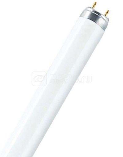 ����� �������������� G13 36��/54-765 1200�� d26  6500� OSRAM 