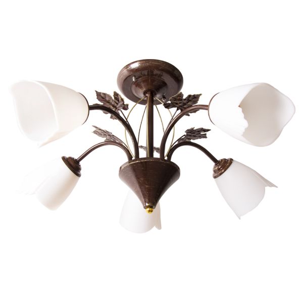 ������ 1007/5 BR +GD 21��� ����