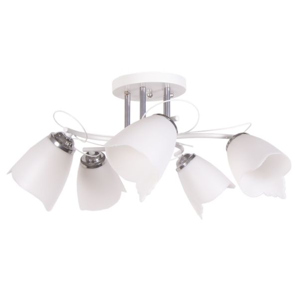 ������ 1009/5 WT+CH 21��� ����