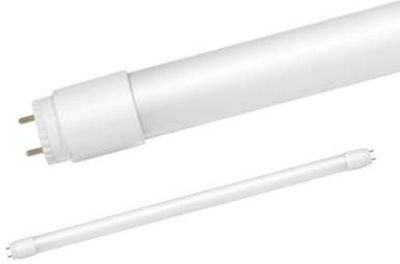 T8 10W 6500� G13 230� 800�� 600�� ������� ����� IN HOME