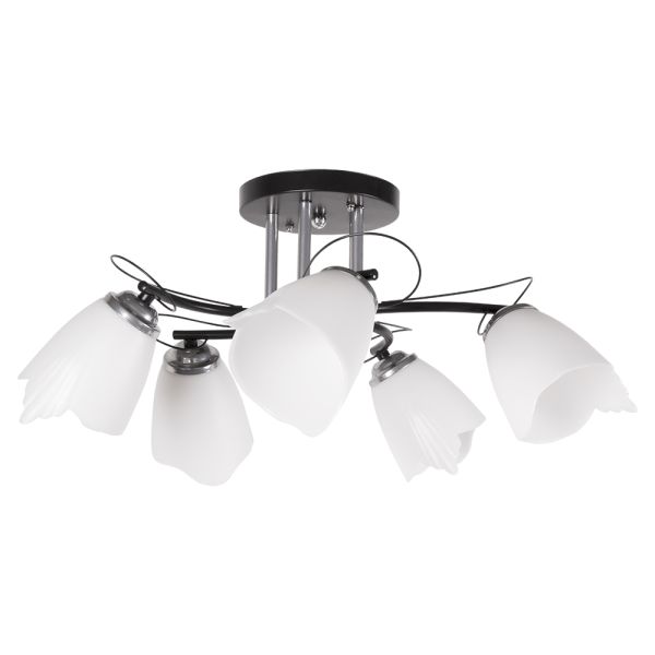 ������ 1009/5 BK+CH 21��� ����