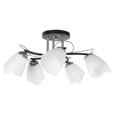 ������ 1009/5 BK+CH 21��� ����