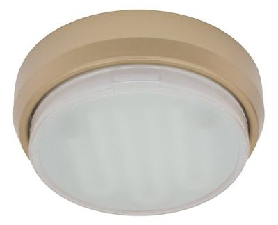 ���������� ��������� GX53 DGX5318 ������ ECOLA 