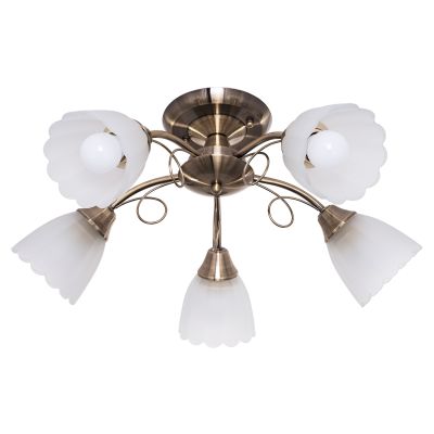 ������ 50441/5AB WT ������ ����