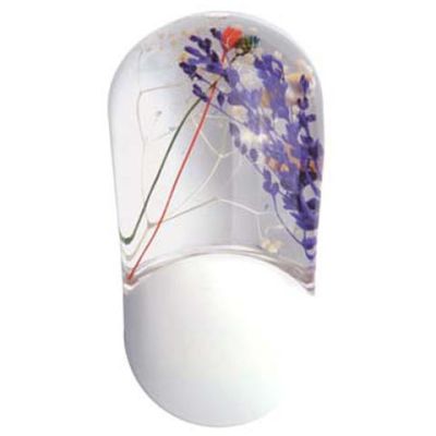 ������ � ����� � ���������� 