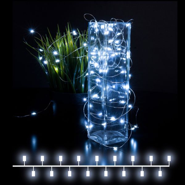 �������� ���� 