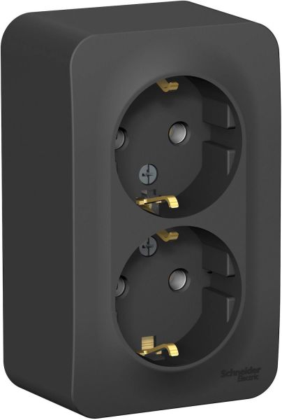 ������� 2-��- �������� ���������  � ����������� �������� Blanca Schneider BLNRA010216