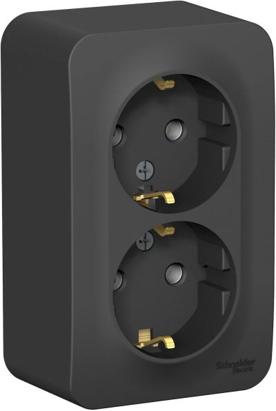 ������� 2-��- �������� ���������  � ����������� �������� Blanca Schneider BLNRA010216