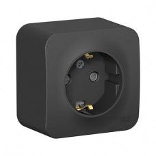 ������� 1-�� �������� ��������� � ����������� �������� Blanca Schneider BLNRA010116