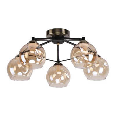 ������ 25031/5BK+AB AMB ������ ����