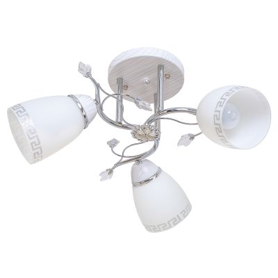 ������ 636GM/3CR WT ������ ���� ***