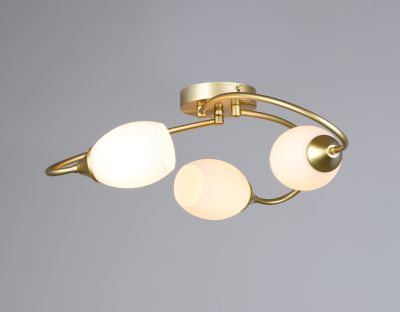 ������ 6436/3 GD ����� ����� ***