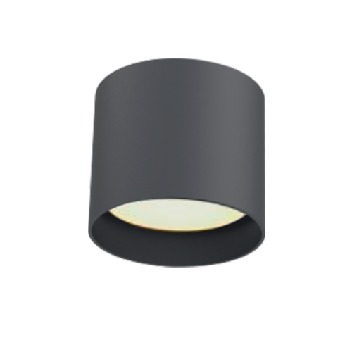 ���������� ��������� GX53 ART SHOT ����� EKS