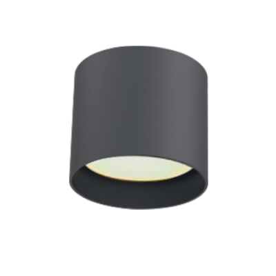 ���������� ��������� GX53 ART SHOT ����� EKS