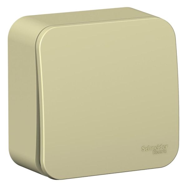 ����������� 1-��������� �������� ��������� � ����. ��������� 10� ������ Blanca Schneider BLNVA101011