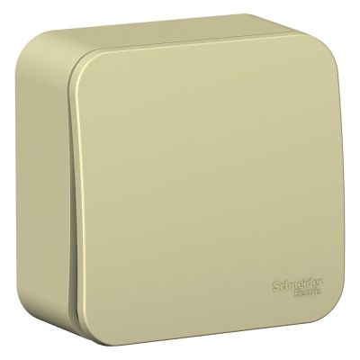 ����������� 1-��������� �������� ��������� � ����. ��������� 10� ������ Blanca Schneider BLNVA101011