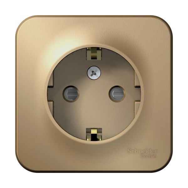 ������� � ����������� �� �������� �������� ��������� ����� Blanca Schneider BLNRA011104