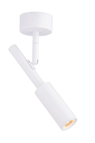 ���� 20116 SWT ����� �����