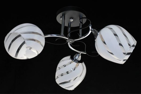 ������ 2571/3 ����/������ ����� �����