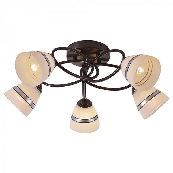 ������ 1163/5C WENGE Profit Light 