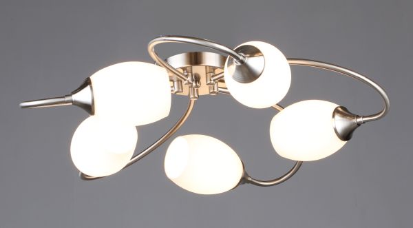 ������ 6436/5 SL  ����� ����� ***