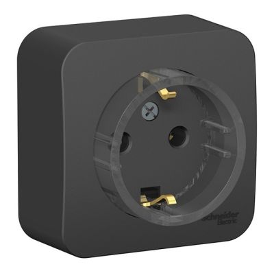 ������� 1-�� �������� ��������� � ����������� �������� Blanca Schneider BLNRA110116