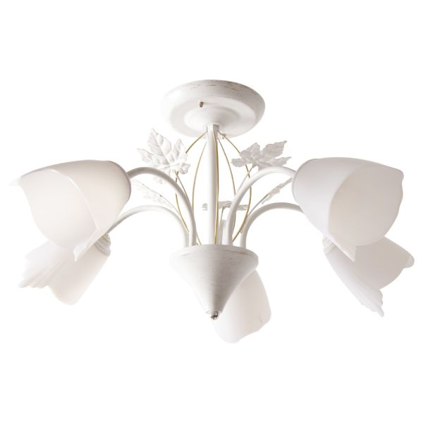 ������ 1007/5 WT+GD 21��� ����