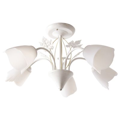 ������ 1007/5 WT+GD 21��� ����