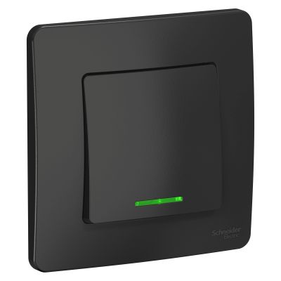 Schneider Electric BLANCA �������� ����������� 1- ��������� � ����������