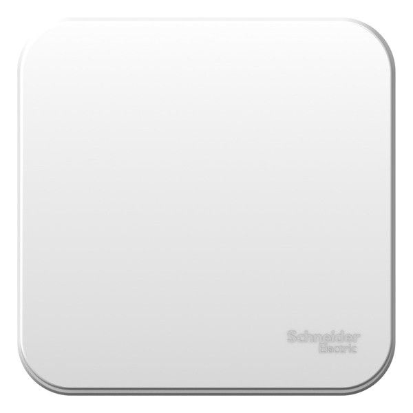 ����������� 1-��������� �������� ��������� � ����. ��������� 10� ����� Blanca Schneider BLNVA101011