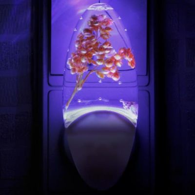 ������ � ����� � ���������� 