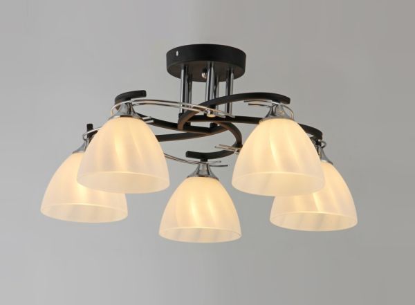 ������ 2007/5 BK+CH ����� �����