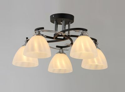 ������ 2007/5 BK+CH ����� �����