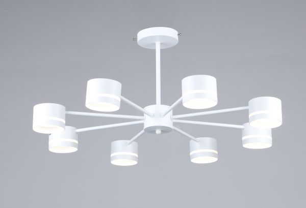 ������ 6900/8 WT ����� ����� 