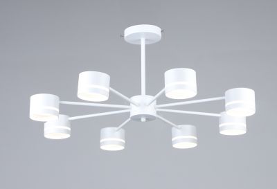 ������ 6900/8 WT ����� ����� 