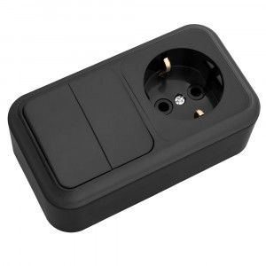 ���� �/� ����������� 2-�� + ������� � ����������� ������ �������� 2�-��-529 ������