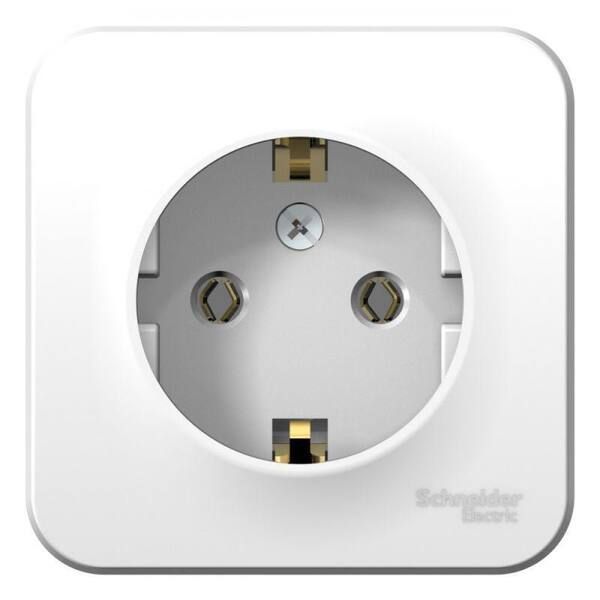 ������� 1-�� �������� ��������� � ����������� ����� Blanca Schneider BLNRA010101