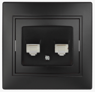 ������� �������������� ������� 2xRJ45 �������� Intro Plano 1-304-05