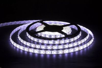 ������������ ����� 19.2W 240LED IP20 6500� SMD2835 GENERAL