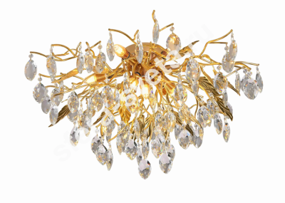 ������ P6073/D800 FGD ����� �����