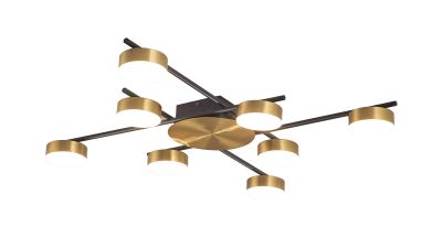 ������ X1000A-DWS-8 BLACK+BRASS 40W ����� �����