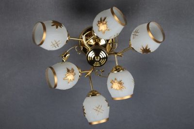 ������ �4620/6 FCD ��������