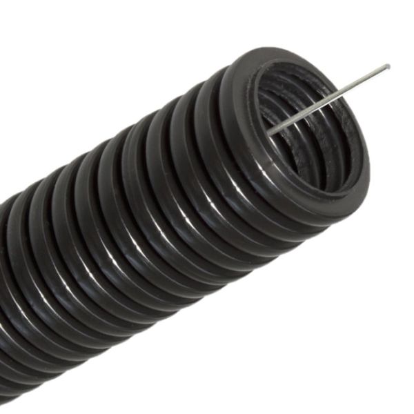 ����� ��� ������������� D20�� (����� 50�) � ��������� ������