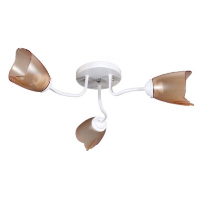 ������ 1001/3 BR 21��� ����