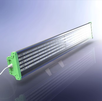 ������������ ����������� (������ ��������������)