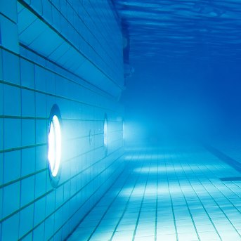 ��� ��������